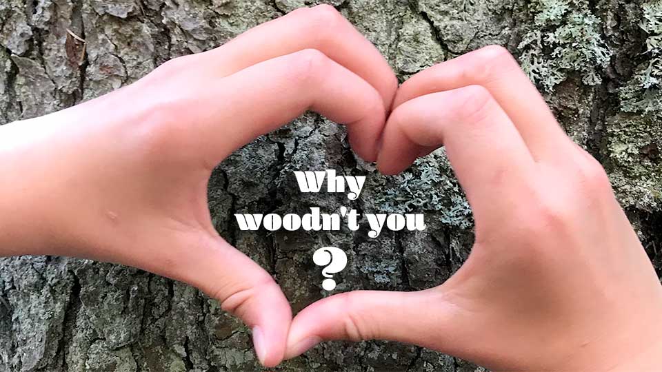 Why Woodn't You